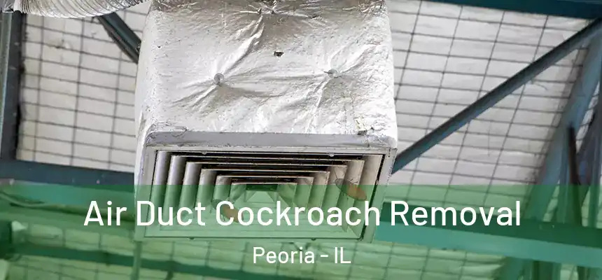 Air Duct Cockroach Removal Peoria - IL