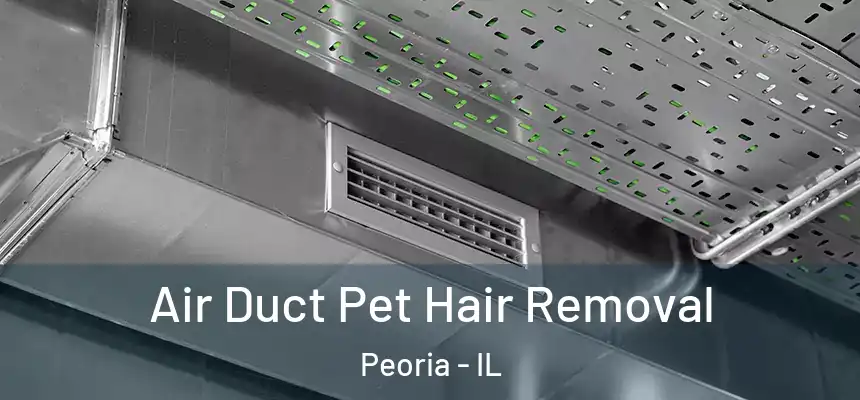 Air Duct Pet Hair Removal Peoria - IL