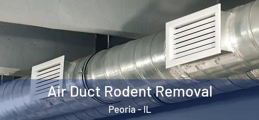  Air Duct Rodent Removal Peoria - IL