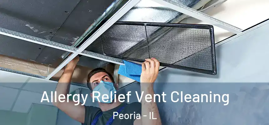  Allergy Relief Vent Cleaning Peoria - IL