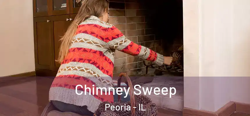 Chimney Sweep Peoria - IL