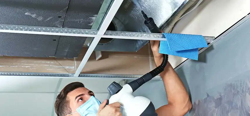 Our Air Duct Rodent Removal Services in Peoria, IL
