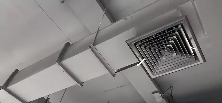 Our Rodent Droppings In Vents Services in Peoria, IL