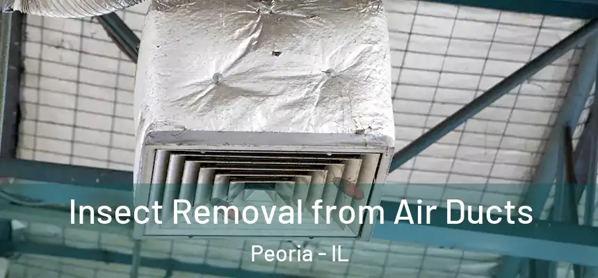 Insect Removal from Air Ducts Peoria - IL
