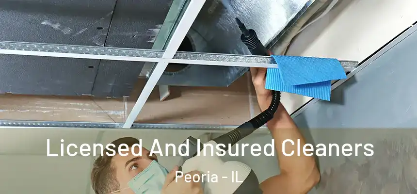 Licensed And Insured Cleaners Peoria - IL