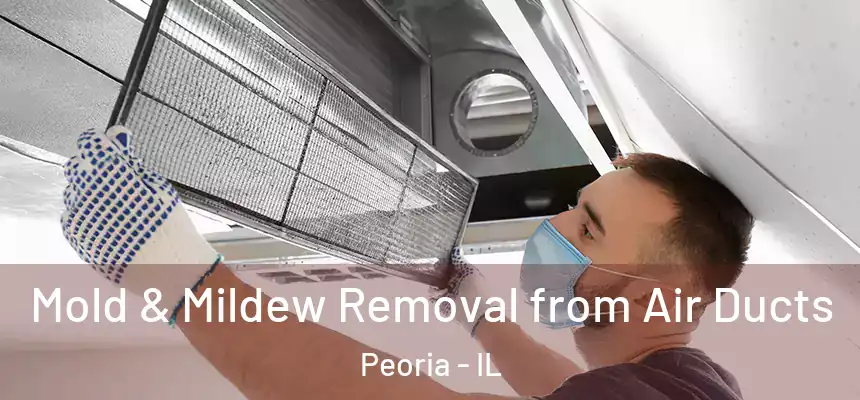  Mold & Mildew Removal from Air Ducts Peoria - IL