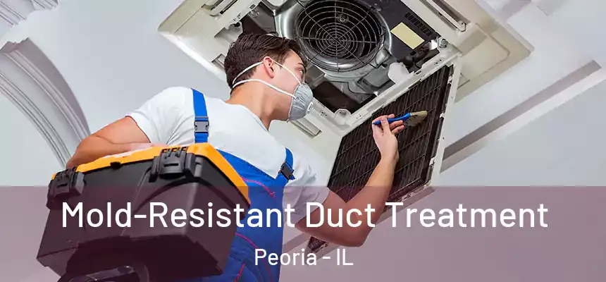 Mold-Resistant Duct Treatment Peoria - IL
