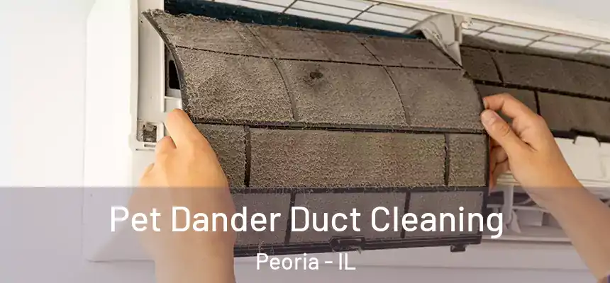 Pet Dander Duct Cleaning Peoria - IL