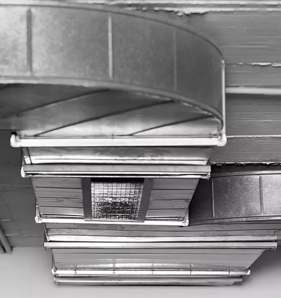 Professional Air Duct Pet Hair Removal in Peoria, IL