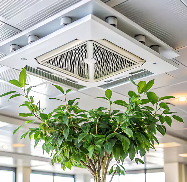 Why Homeowners & Businesses Trust Us in Peoria, IL